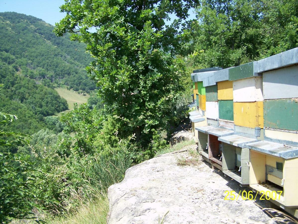 Agriturismo Pedrosola Brisighella Zewnętrze zdjęcie